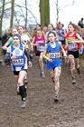 Girls under-13s 2018 British Inter Counties Cross Country Champs., Prestwold Hall, Loughborough. Photo: David T. Hewitson/Sports for All Pics